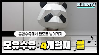 혼합수유에서 완모로 넘어가기 l 완모썰 l 모유수유 단점