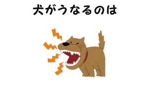 犬の雑学