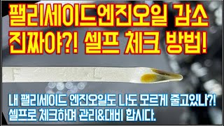 팰리세이드 엔진오일 감소 하자 진짜야? 걱정 된다면 셀프 체크 방법 확인하고 관리합니다.