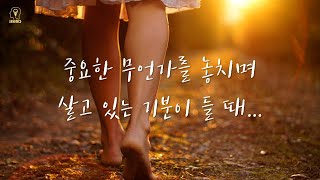 바쁜 일상 속에서 잠시 쉬어가야 보이는 것들 | 마음 위로, 동기 부여 영상