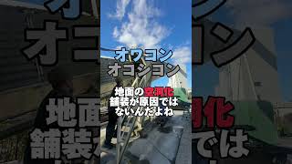 オワコン空洞化の真実　動画は　#庭コン #透水性コンクリート #オワコン #透水専門家