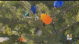 After Complaints, Durham, NH Removes Tree Lighting From Annual Holiday Celebration