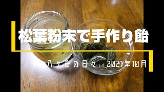 【八ヶ岳】乾燥松葉粉末で松葉飴を作ってみた