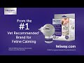 reduce cat conflict calm your cat with feliway® optimum