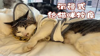 沉浸式给猫咪按摩