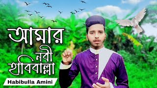 Amar Nabi Habiballa / আমার নবী হাবিবাল্লা / Habibulla Amini / bangla gojol 2024 / holy tune / Gojol