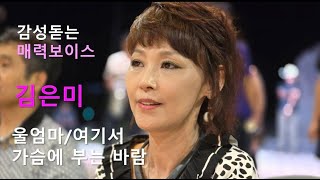 감성돋는 매력보이스#김은미#트로트 노래모음#울엄마#가슴에 부는 바람#여기서