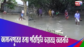 জামালপুরের বন্যা পরিস্থিতি ভয়াবহ অবনতি | Jamalpur | Bangla News