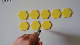 Grade 2 Math 12.3, Exploring arrays (multiplication)