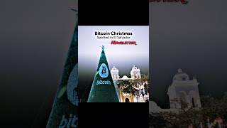 El Salvador Christmas Bitcoin Tree.   #bitcoin  #youtubeshorts #youtubeviral #youtube