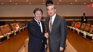 Chinese, Japanese FMs exchange views on ties, regional partnership