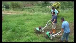 除草兼鬆土 CY50 Garden tiller (4 \u0026 6-rotary tilling blade) weeding \u0026 tilling 擎億機械 농업 기계 中耕機