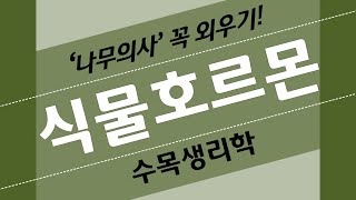 (읽어주기) 나무의사 / 수목생리학 / 식물호르몬