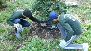 TreeDiaper - Smart Watering Mats