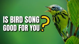 Is Bird Song Good for people? | The Positive Effect of Singing Birds