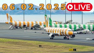 LIVE ACTION From Madeira Island Airport 06.02.2025