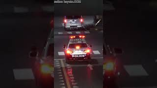 これが埼玉県警のアツい走り！緊迫感がハンパない所轄とクラクション連打の自動車警ら隊パトカー！#shorts