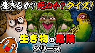 生きるか死ぬかクイズ動物の危険シリーズ【まとめ】