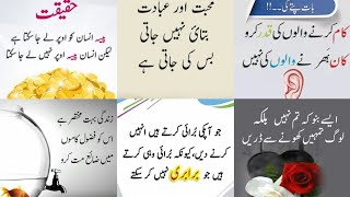 Urdu Quotes Islamic | Urdu Quotes Status Islamic | Quotes Status For Whatsapp