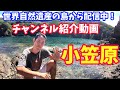 母島に旅行に行こう！チャンネル紹介動画(ミッチーの母島観光&料理教室)ジャンルは島紹介、料理、釣り動画です。