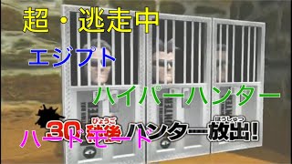 【超・逃走中】エジプト　ハイパーハンター　ハードモード！実況あり