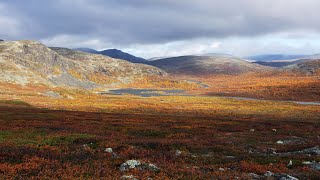 Käsivarsi Wilderness Area