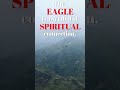 interesting spiritual fact spirit animal eagle spirit animal guide 🦅 shorts eaglespiritanimal