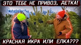 Одесса / Цены перед Новым 2022 годом на ёлки, мясо, рыбу, овощи и фрукты на рынке Початок 23.12.2021