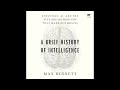 Max Bennett - A Brief History of Intelligence