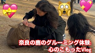 奈良の鹿のグルーミング体験: 心のこもったVlog | Nara Park deer 🦌 in japan