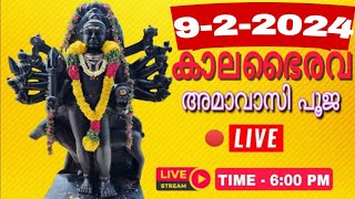 KALABHAIRAVA AMAVASI POOJA|09.02.2024|#astrology #mantra #tantra|