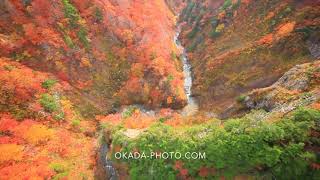 FUKEI 57781　城ヶ倉大橋から望む城ヶ倉渓谷の紅葉