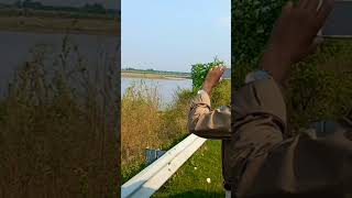 Beautiful River chenab and Lake near sialkot