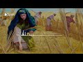 the book of ruth esv dramatized audio bible full