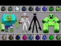 What if You Spawn ALL ZOMBIE CREEPER ENDERMAN SKELETON BATTLE Minecraft Different Army Battle