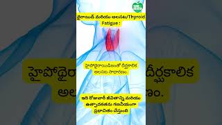 థైరాయిడ్ మరియు అలసట/Thyroid Fatigue #teluguhealthcare #healthsecrets #thyroidproblems #tips