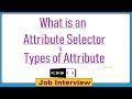 13. What is an Attribute Selector & Types of Attribute in CSS?