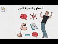 ملخص كتاب المخ السعيد دين برنيت