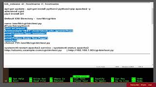 How To Setup Apache To Run Python CGI Scripts On Ubuntu 20.04 LTS