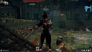 Vindictus Rivania(lethor) vs some lizard things....