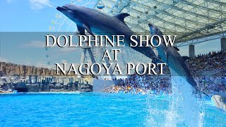 Port of Nagoya Aquarium Dolphin Show 2021/ 名古屋港水族館　イルカショー