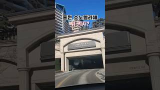 소고기? 회? 홍천 대명 안에서 뭐 먹었을까요🤩 #소노펠리체 #2023설날여행 #vlog #shorts #미인아카데미