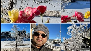 Colorado Springs Or Kashmir | कोलोराडो स्प्रिंग्स या कश्मीर | Frozen World | Life in -15°c