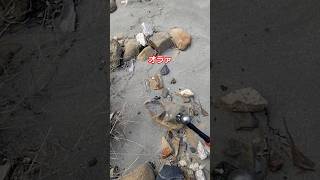 砂浜の石を砕いてサプライズを発見してみるよ