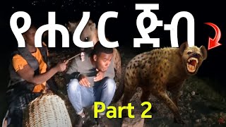 የሐረር ጅብ | Hyena Feeding in Harer Ethiopia