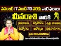 Meena Rasi Phalalu | Vara Phalalu | Weekly Horoscope in Telugu | November 17 TO 23 | Vangara Astro