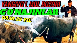 YANGIYOʻL MOL BOZORIDA YOSH GʻOʻNAJINLAR SOTILADI 🐄🐄