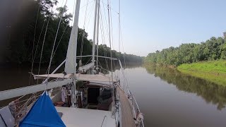 SLOW TV - Sailing Up the Maroni River, French Guiana - Sailing Vessel Delos