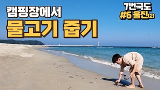 7번국도 울진여행ㅣ캠핑장에서 물고기 잡기? 줍기!