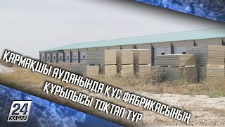 Қармақшы ауданында құс фабрикасының құрылысы тоқтап тұр